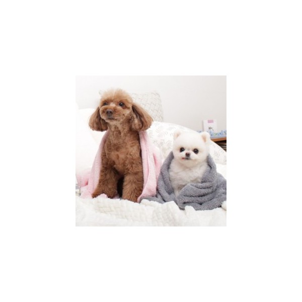 아인솝 극세사 펫타올 그레이 L 