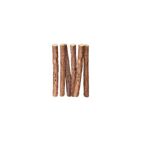 캣완트 마따따비 스틱(M) 6pcs 